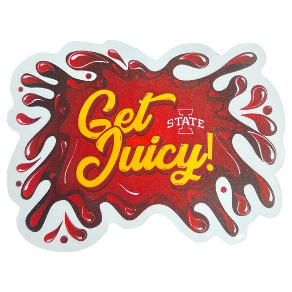 Get Juicy Auto Magnet (2"x3.5")